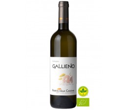 Gallieno - Malvasia Puntinata BIO