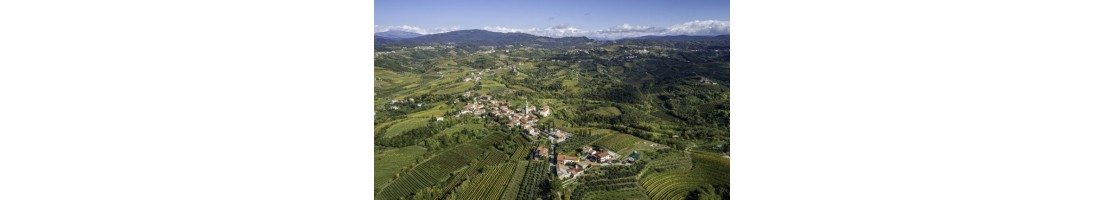 Collio Sloveno